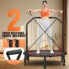 image:imageANCHEER Foldable Rebounder Trampoline for AdultsKids with Resistance Bands and Bungees 4048 Indoor amp Outdoor Mini Trampoline with Bar and Safety PaddingDeep Red